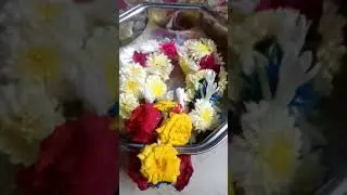#samanthi ,sambaing, minirose,woolen thread Garland//#flower Garland  #shorts