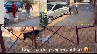BEST DOG TRAINING CENTRE IN JODHPUR @dogloverprakash