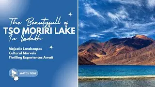 Ladakh Diaries: Tso Moriri Lake Adventure 🏔️💙