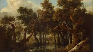 Claudio Arrau plays Liszt - Waldesrauschen (Forest Murmurs), S. 145/1