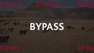 MOLATEK | Bypass