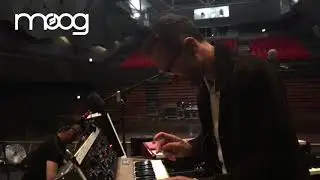STEPHEN LARGE MOOG