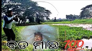 ବଡ ମାଛ 🙄🥹100%🤪|| Village Smart Boy Fishing With Hook || Traditional Hook Fishing ||🤔🫥💯