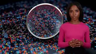 EDA Exploratory Data Analysis in AI