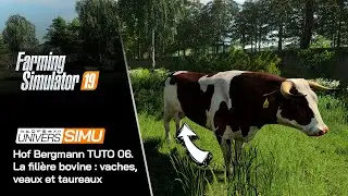 Hof Bergmann FS 19 TUTO 06. La filière bovine