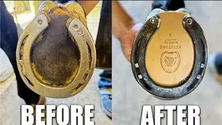 Farrier Skills: Complete Horse Shoe Replacement و#HorseShoeing#Farrier#Equine #Equestrian#Blacksmith