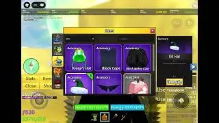 2 accessories at once?