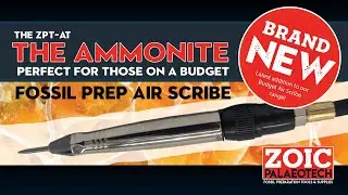 ZPT-AT The Ammonite - BUDGET Fossil Preparation Tool