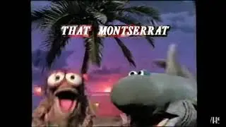 Muppet Sing Alongs It's Not Easy Being Green VHS Preview 