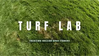Treating Dollar Spot Fungus | Lawn Recovery Begins | Turf Lab