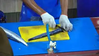 Precision Needle Fish Cutting