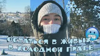 Переживаю зиму в Праге уютно | керамика, готовка и прогулки по городу
