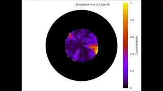 Phase variation simulation output visualisation (circular geometry)