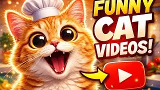 #cute cat 🐈#cooking #fishingvideo 