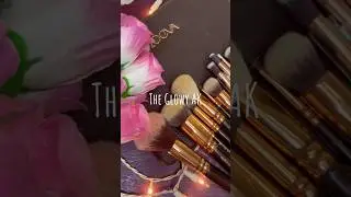 Zoeva Makeup brushes and their uses #shortsfeed #shorts