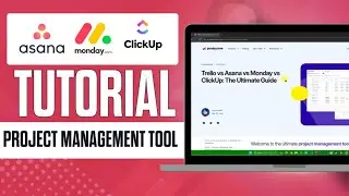 How to Choose the Best Project Management Tool in 2024 &ndash; Trello, Asana, Monday and ClickUp