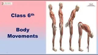 Class 6th Science Chapter 5 
