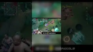 #pascoll