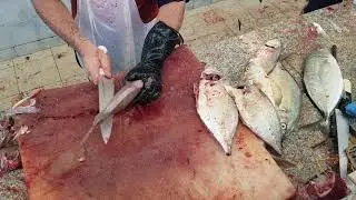 Darne Cut Fish!! Darne Fish Cutting Skills|| Goujon Fish Cut|| D&eacute;lice Fish Cut|| Mignon Fish Cut