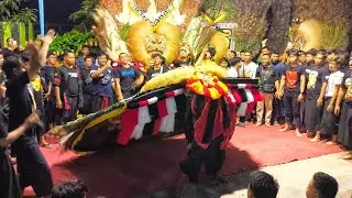REOG PONOROGO ATRAKSI JOS JOS PEMBARONG NGAMUK PARAH 
