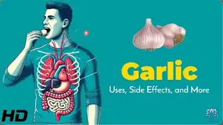 Garlic: Nature&rsquo;s Antibiotic and How to Use It Safely