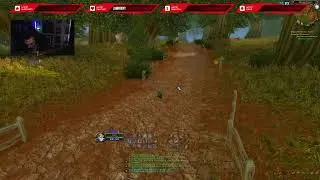 WoW Hardcore Mage + Rogue Duo Leveling!
