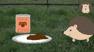 Hattie the Hedgehog - The Wild Side of Life