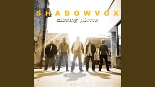 Missing Pieces