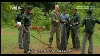 NatGeo Documentry