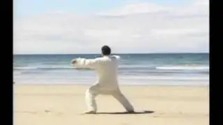 Chen Xiaowang 19 Posture Tai Chi Form