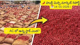 హుబ్లీ మార్కెట్ reports! Ac లో ఉన్న స్టాక్ ఎంత?#trending #byadagi #mirchi #agriculture #farming 