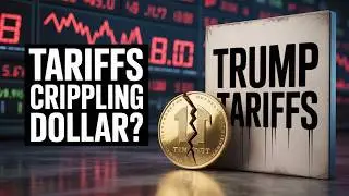 US DOLLAR TRENDS 2025: COMPREHENSIVE ANALYSIS & GOVERNMENT ADVISORY