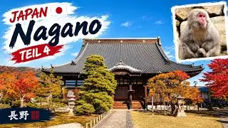Zenkō-ji, Jigokudani Snow Monkey Park, Obuse & mehr | Nagano | Japan-Reise (4/11) - Vlog 2025