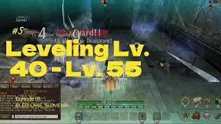 Leveling Lv  40 sampai Lv 55 Toram Online PC