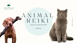 Jak Reiki przyspiesza leczenie zwierząt?