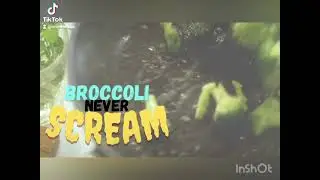 Broccoli never scream