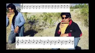Zambito - QUENAS Y ZAMPOÑAS