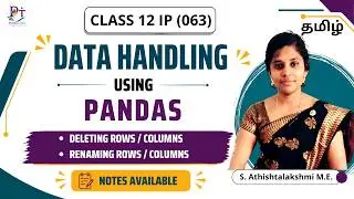The BIGGEST Mistake You're Making with Data Handling in Python | Class 12 IP  | CBSE