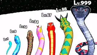 Snake Evolution Run 3D - Max Level Up Evolve a Snake into an Anaconda | All Levels