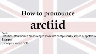 arctiid