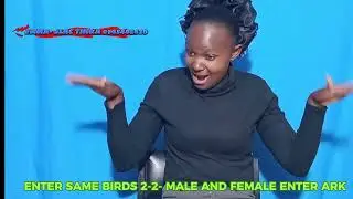 How to Sign Noah Bible story in Signs