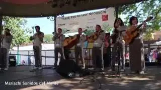 Sangre Mexicana Spanish Market