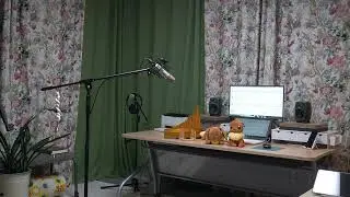 월량대표아적심F major (영천 팬플룻)