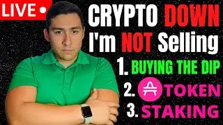 AMP TOKEN Livestream! Buying the CRYPTO DIP? Learn To Stake