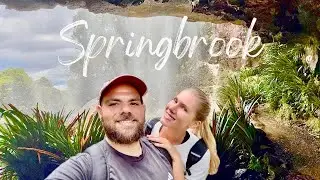 Best Short Hike in Springbrook National Park | Stunning Views & Waterfalls