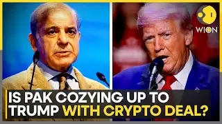 Pakistan Crypto Council Signs Deal With Trump's Crypto Firm | WION | Business News