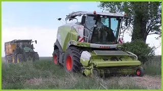 Senáže Vojtěšky 2022 | Claas Jaguar 850 | ZD Klenovice na Hané