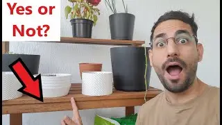 Ищете садовую мебель для своих растений? Посмотрите это видео!