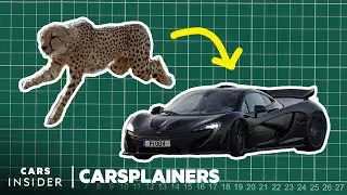 How Nature Inspired The Design Of The McLaren P1 And Mini Cooper | Carsplainers