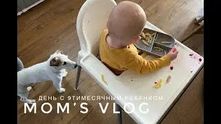 #5 ДЕНЬ ИЗ ЖИЗНИ МОЛОДОЙ МАМЫ